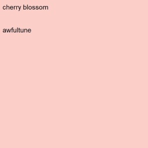 cherry blossom - Single