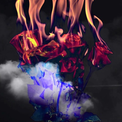 Wszystko Szybko - Single