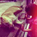 Brave
