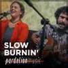Black Woman (Judy Mowatt) [Live on Pardelion Music]