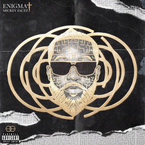 Enigma - Single