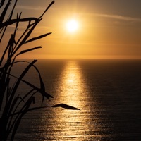 Glory (feat. Becky Willard) - Single - Suzanne Hodson