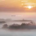 Mist