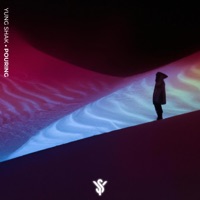 Pouring (feat. Playboi SHVA) - Single - Yung Shak
