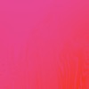 Bad Dreams - Single
