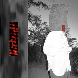 Up willem. & helmuth