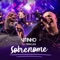 Sobrenome (feat. Péricles) [Ao vivo] - Vitinho lyrics