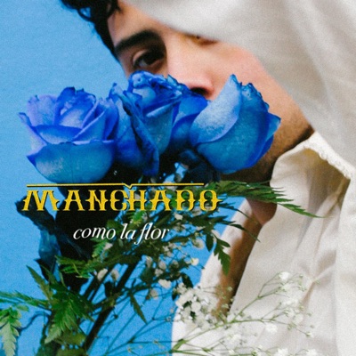 Como la Flor - Single