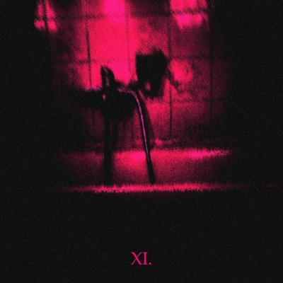 XI. - Single