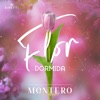 Flor Dormida - Single