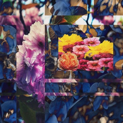 Go (feat. Neb) - Single