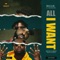 All I Want (feat. Dj Enimoney) - Reggie Reggie lyrics