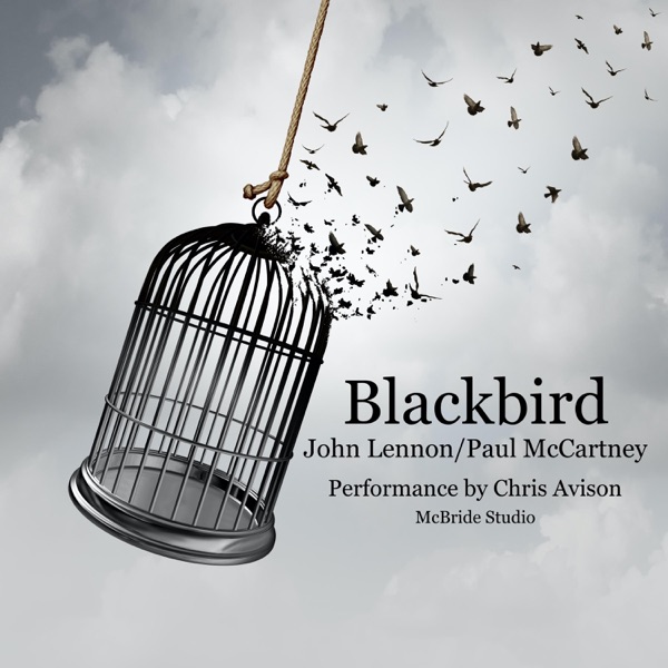 Blackbird