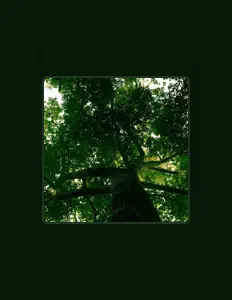 Ouve Ruben Bertolini, vê vídeos de música, lê a biografia, vê as datas da digressão e muito mais!