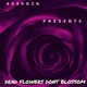 Dead Flowers Don t Blossom Single