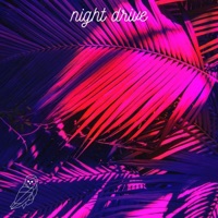 Night Drive (feat. Anthony Lazaro) - Single - Lazer Owl