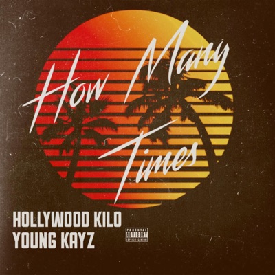 How Many Times (feat. Hollywood Kilo) - Single