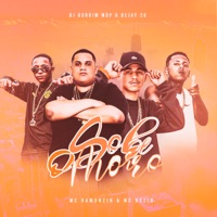 Sobe o Morro - Single - Mc Ramonzin, Mc Bszin, DJ Gordin Do Mdp & Dejay 2G