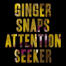 Attention Seeker artwork