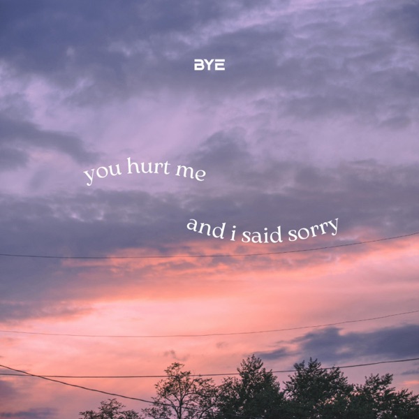 You Hurt Me (& I Said Sorry) - Single