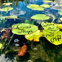 Melting Pot (feat. Oliver Mcquaid) - Single - Raymond, Joseph