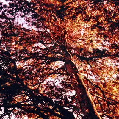 Listen to Colours by Eidetics