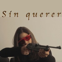Sin Querer - Single - Riccellii