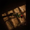Merengkuh Mesra - Single