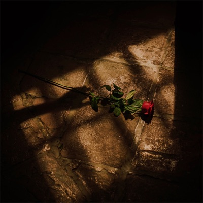 Merengkuh Mesra - Single