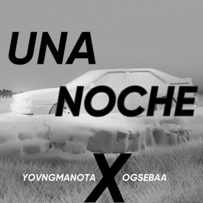 Una Noche (feat. yovngmanota) - Single