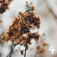 Time With You - Single - Chris Punsalan