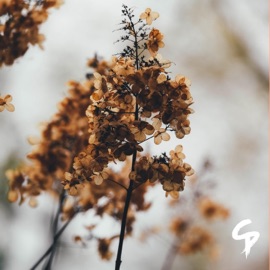 Time With You Chris Punsalan