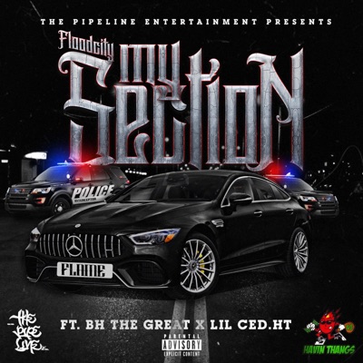 My Section (feat. BH the Great & LilCed.Ht) - Single