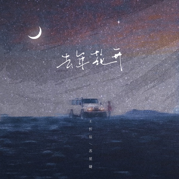 去年花开 - Single