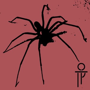 Orb Weaver - Single