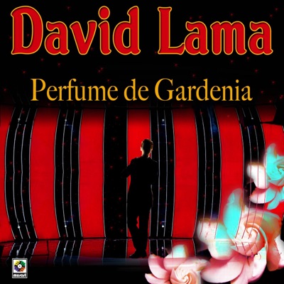 Silencio - David Lama