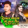 Dekhal Sapna Ge Jan Jair Bhele Khak Ge - Single