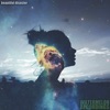 Beautiful Disaster (feat. Merisalily) - Single