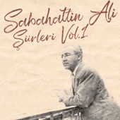 Sabahattin Ali Şiirleri Vol.1 artwork