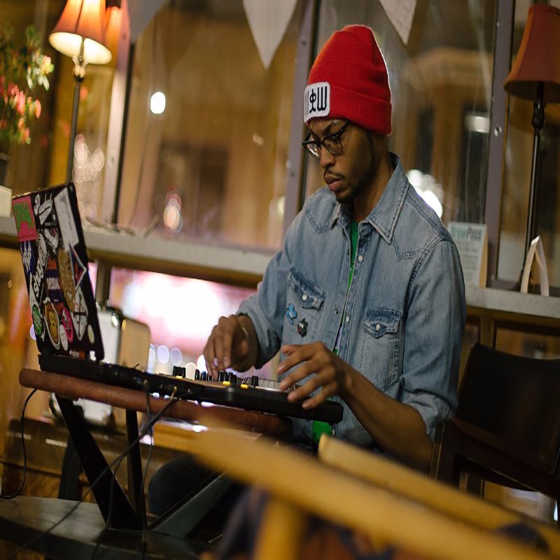 Harmonicsapien - Intro-Net