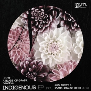 Indigenous