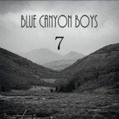 The Blue Canyon Boys - True Life Blues