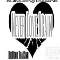 Never Love Again - Single - Big Hood Tha King