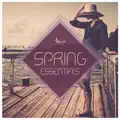 The Speaker (Dirty Secretz Remix)