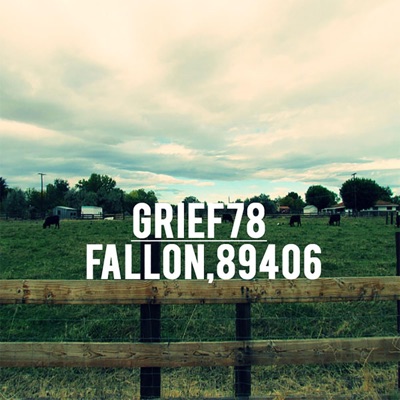 Fallon, 89406