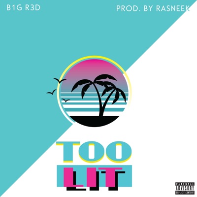 Too Lit - Single