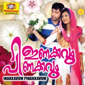 Inakkavum Pinakkavum