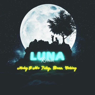 Luna (feat. Braxx, Coking & Mv Triky) [Remix] - Single