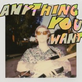 Anything You Want artwork