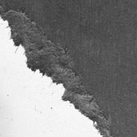 The Paper We Burned - Single - Steven Kemner